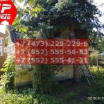 IMG-20191025-WA0036