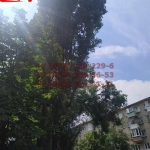 2020-06-29 21-53-57